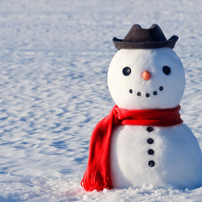 Build a Snowman in the Chugach