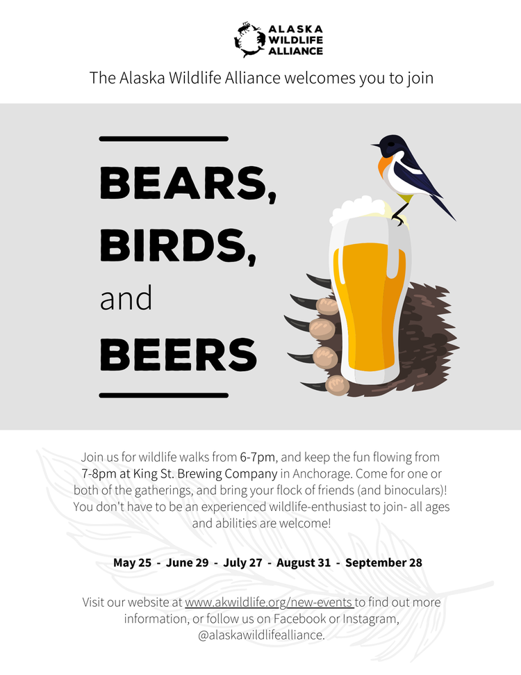 Bears, Birds, & Beers