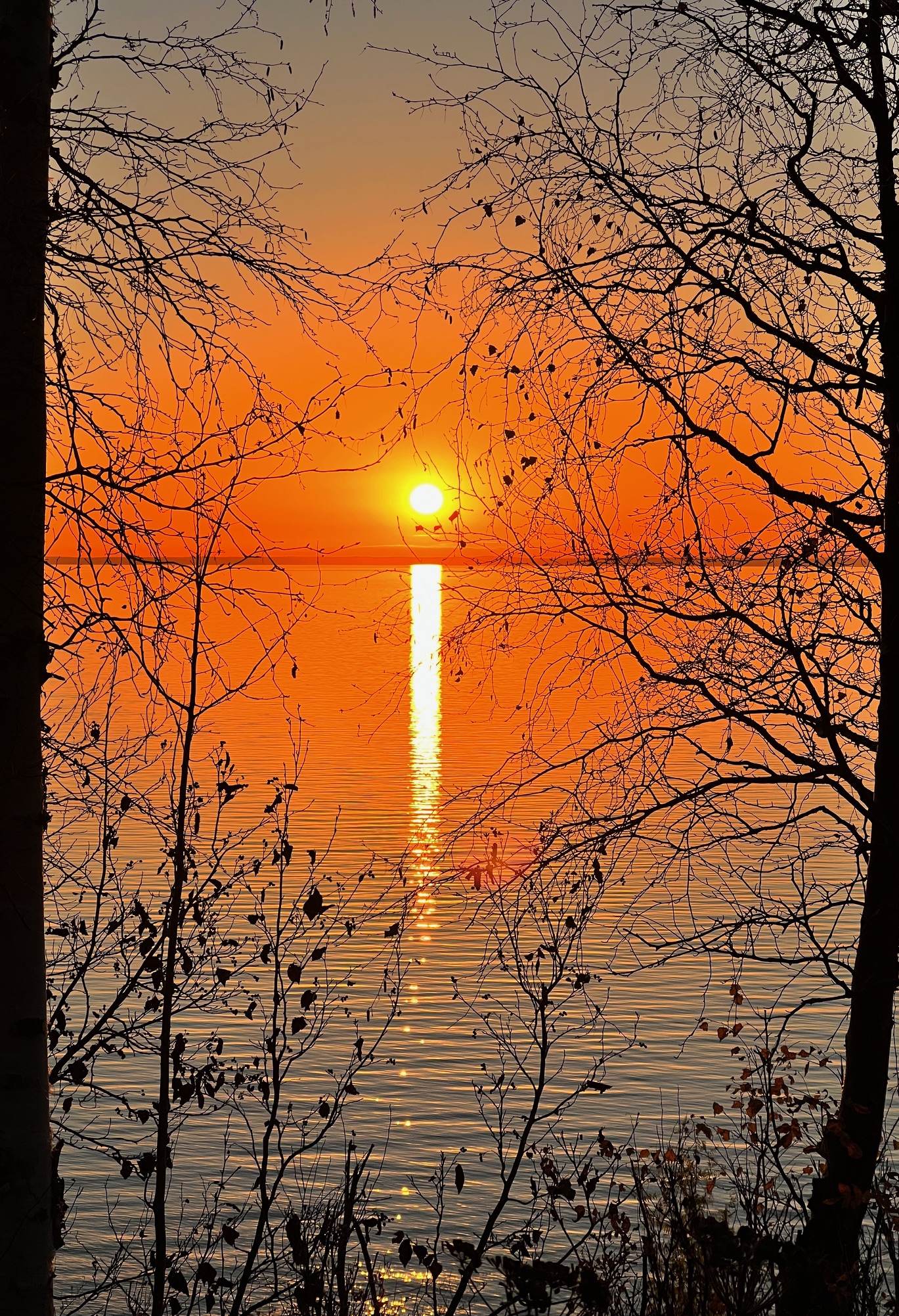 Potter Creek Hike: Moderate Hike with Scenic Lookout