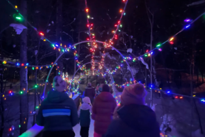 Anchorage Zoo Lights