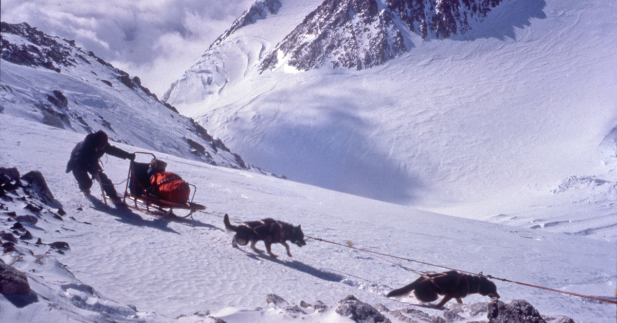 Adventure Storytelling of Mushing Dogs to the Top of Denali: 1979 Expedition